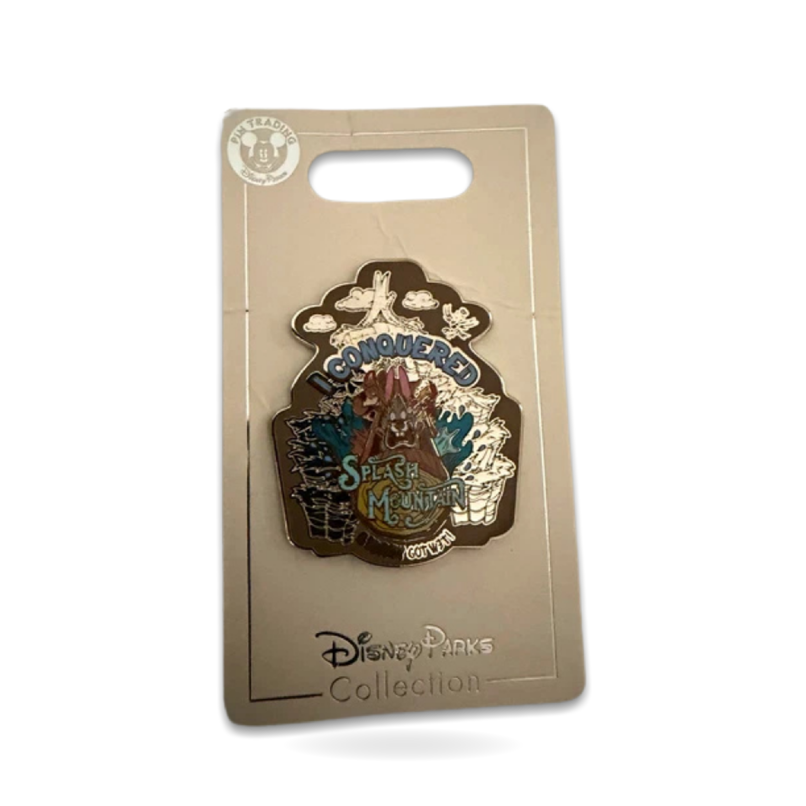 Conquered Splash Mountain Brer Rabbit Retire Trading Pin
