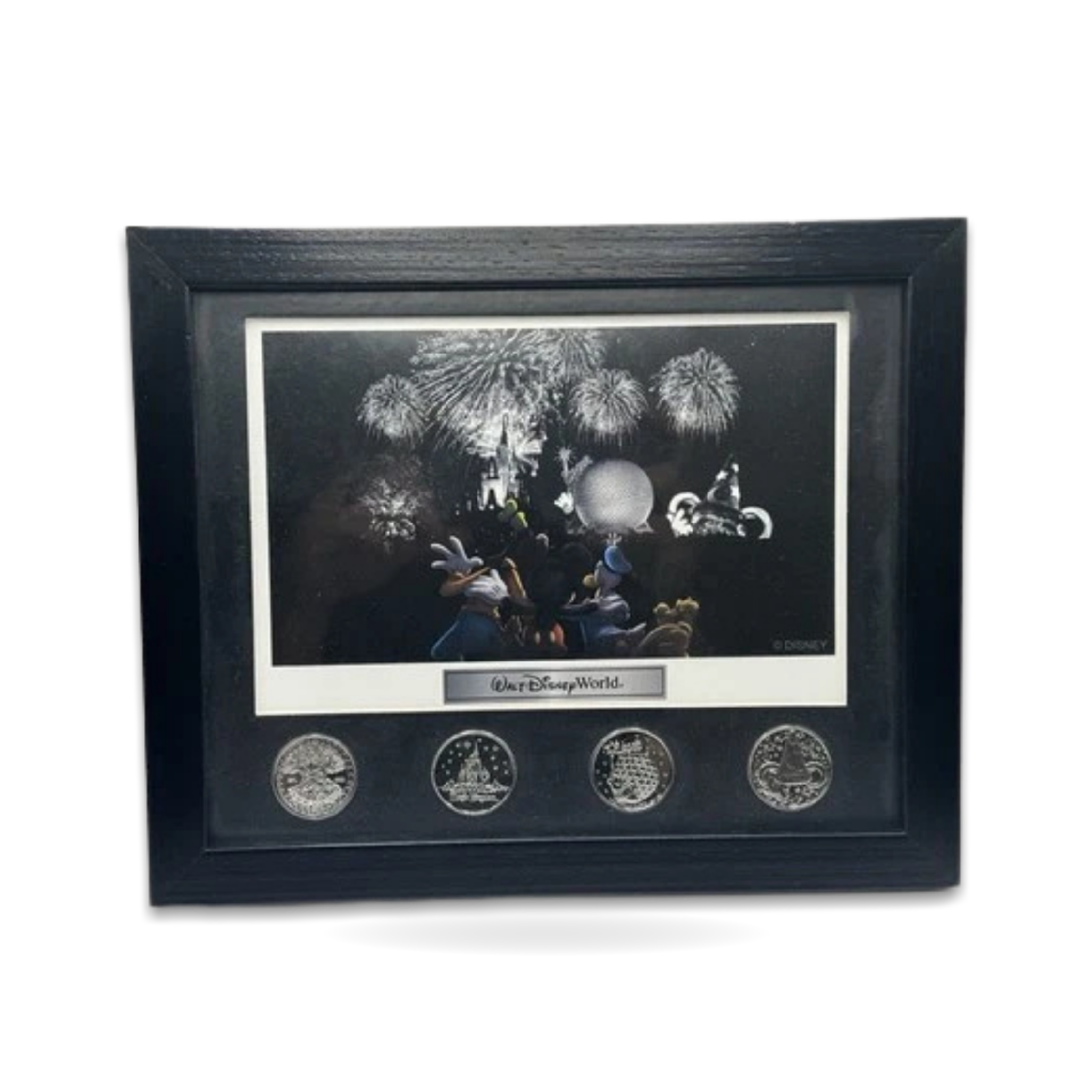 Parks One World Art Picture Framed with Coins Lithograph Four