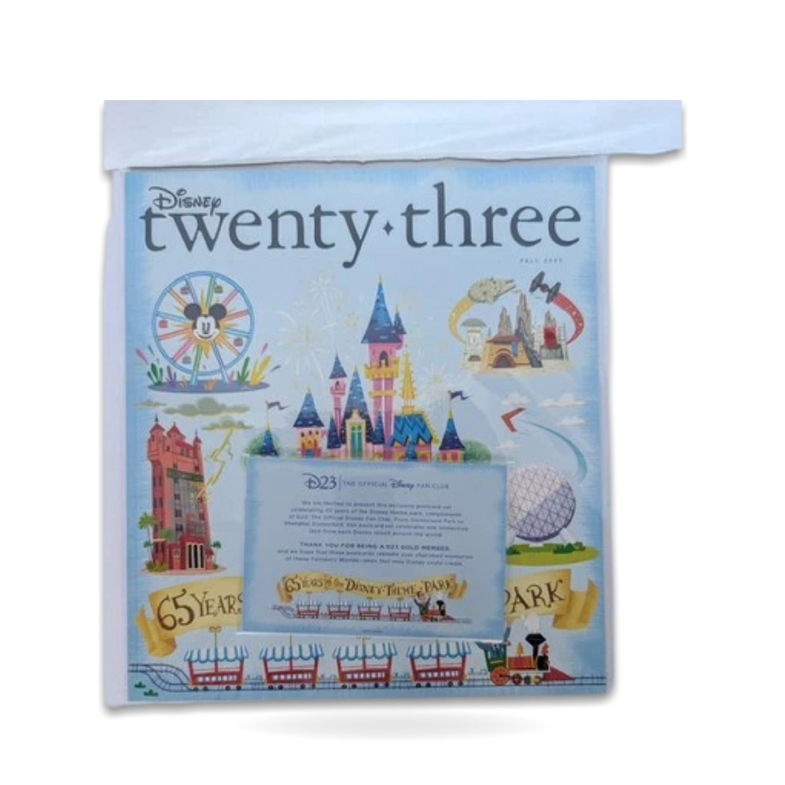 Twenty-Three Magazine Fall 2020 65th D23