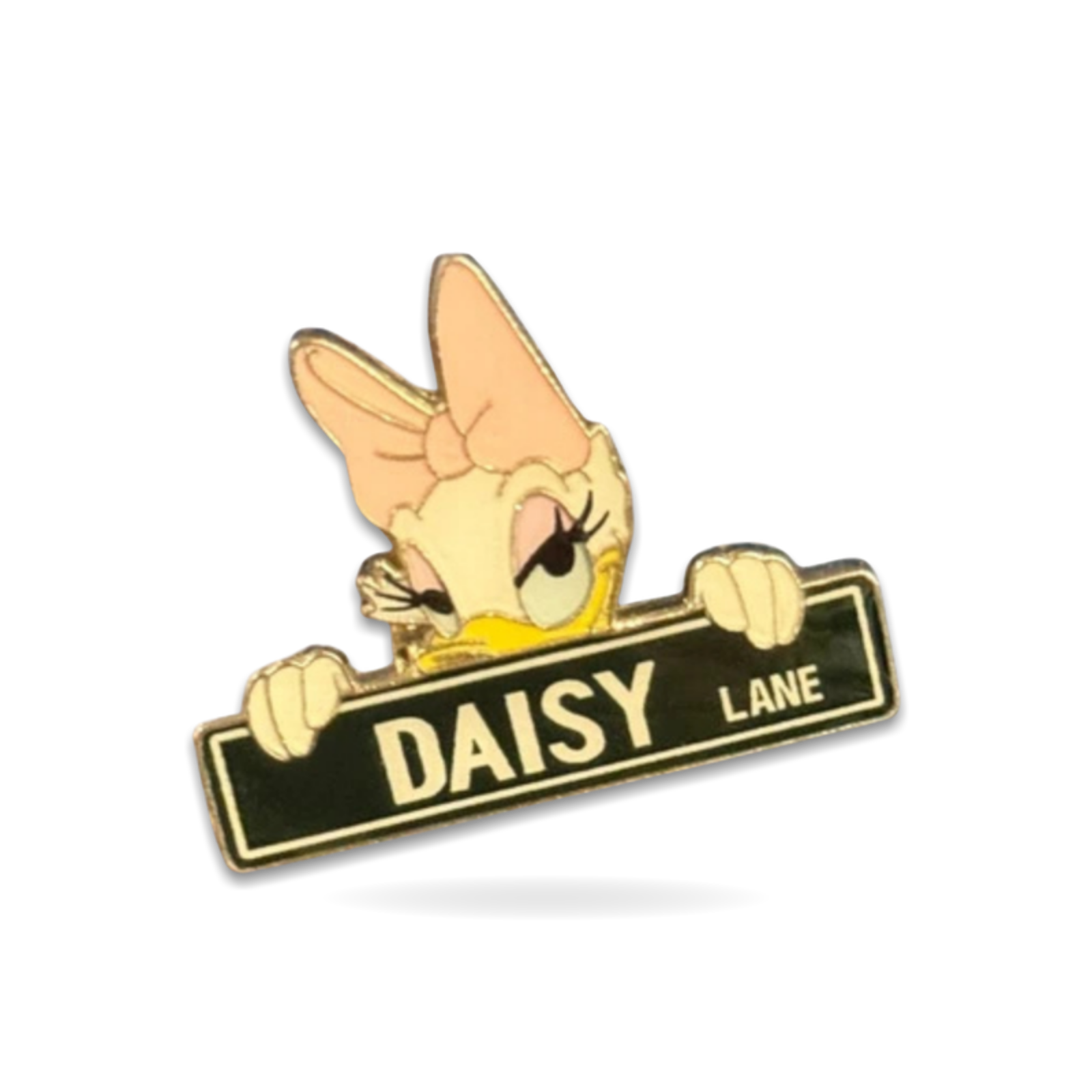 Streets Street Signs Mystery Box Daisy Lane Trading Pin