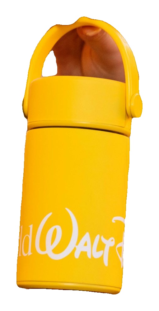 Disney Parks Popcorn on Main Street water bottle