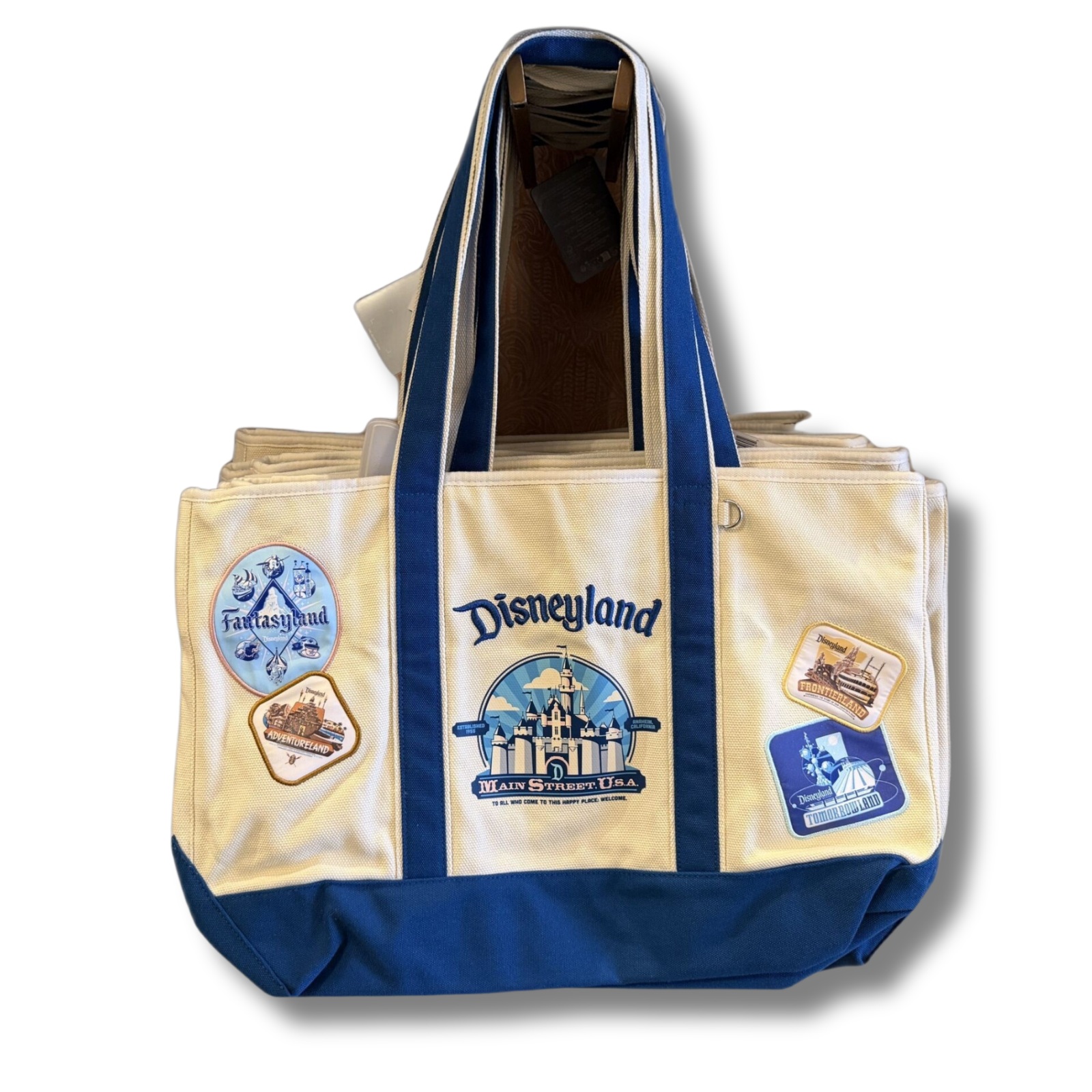 Disneyland lands patch tote bag