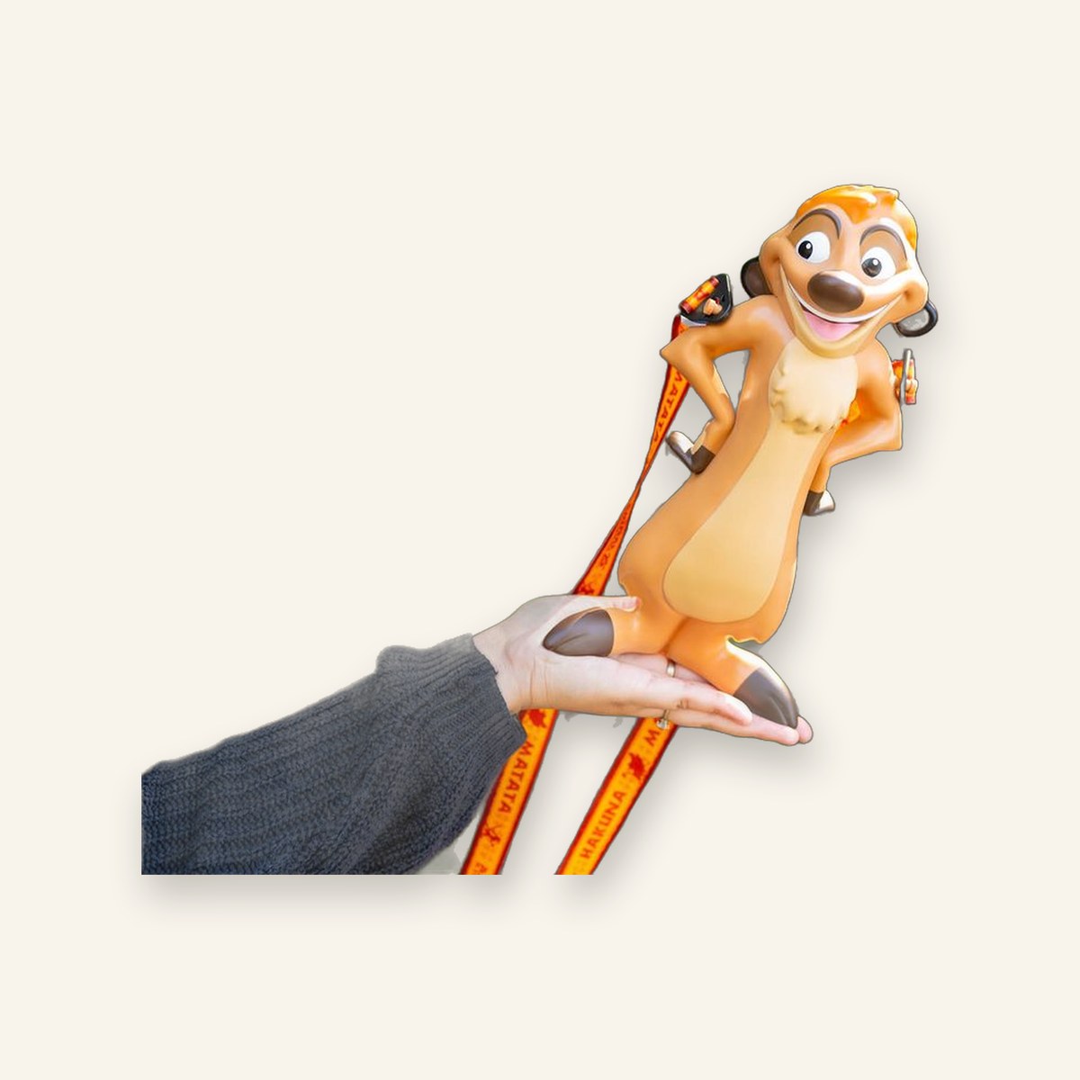 Timon Sipper